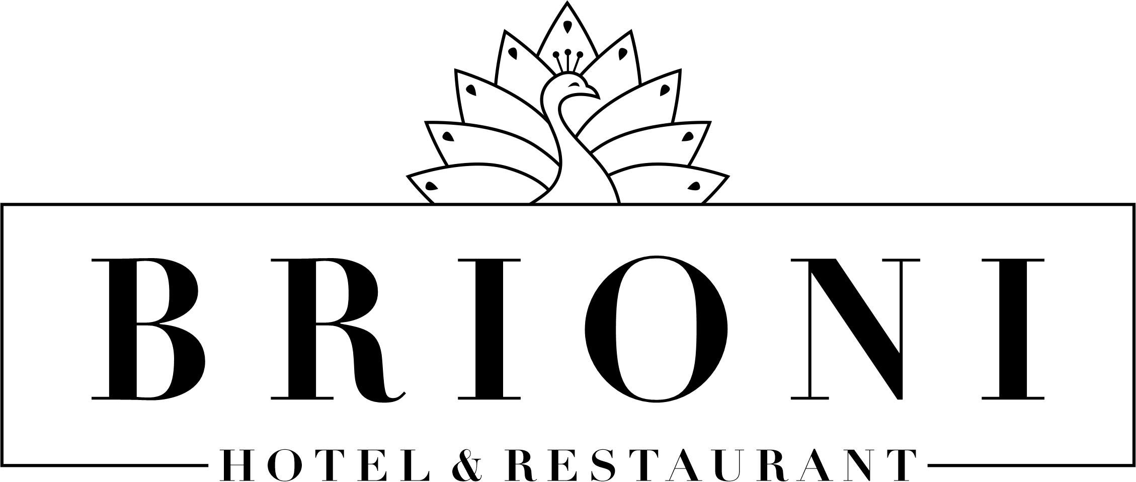 brioni-logo-final